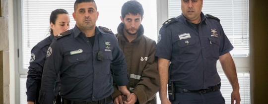 الفدائي عرفات ارفاعية