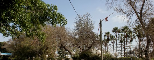 مدينة غزة - ارشيف