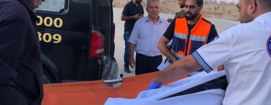الهذالين..