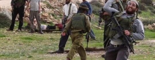 صورة توضيحية 