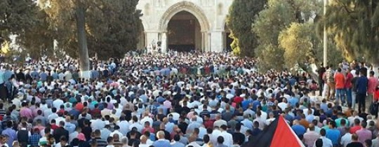 12042749_494241404070437_8068704224044838037_n