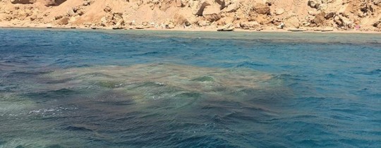 تيران