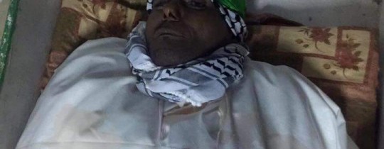 13151831_1163417943735105_3099779989575752882_n