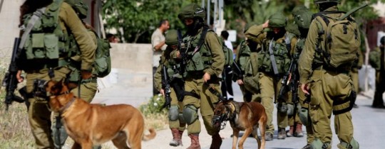 كلاب جيش الاحتلال البوليسية