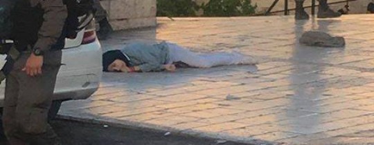 18342244_1534737993269763_1199698809837896931_n