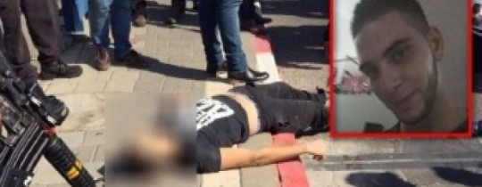 الشهيد ثائر أبو غزالة