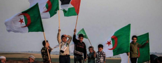 صورة من غزة