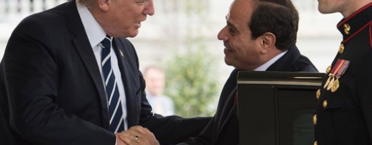 38236-قمة-السيسى-ترامب-(9)