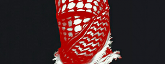 20915656_888122774687519_3145121769271444005_n