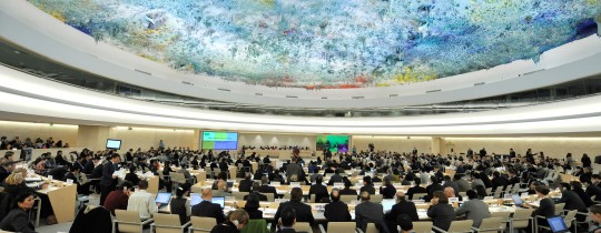 مجلس حقوق الإنسان