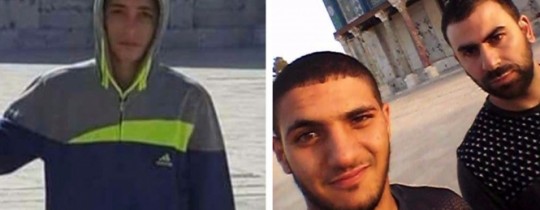 يا ألم الشهداء تكلّم!