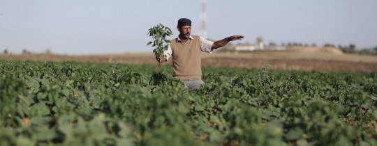 أرشيفية