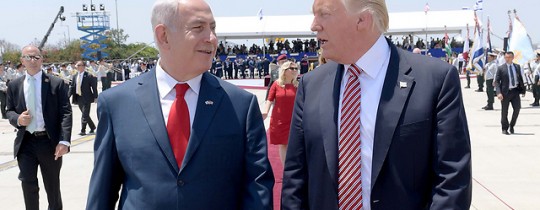 المتغطرس والغبي