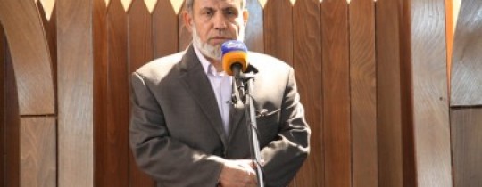 الارشيف  محمود الزهار