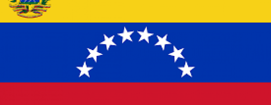 التجربة الفنزويلية