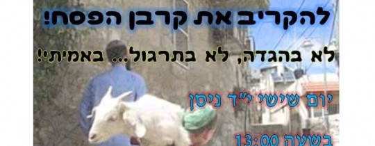 13001150_567728963388347_6207049082955012277_n