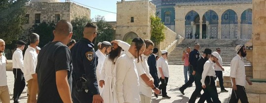 تـــعبيرية