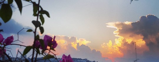 فلسطين - خريف 2016