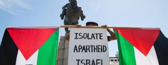 فعاليات المقاطعة