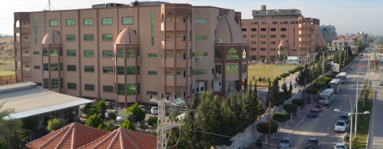 جامعة فلسطين