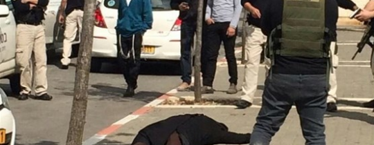 صورة من الحدث