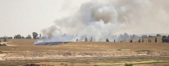 أرشيفية