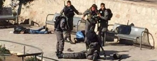 باب العامود