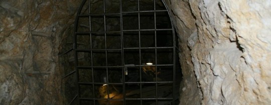 أرشيف: حفريّات أسفل المسجد الأقصى