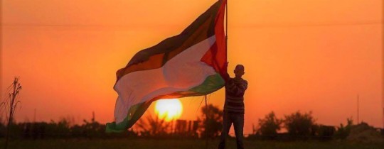 31950037_2033261246948021_8453604199651868672_n