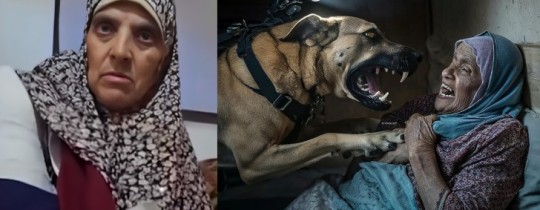 سيدي الجنرال : لقــد إغتصبنـي كلــب