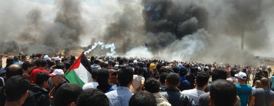 32349441_369112526917657_2676026223276064768_n