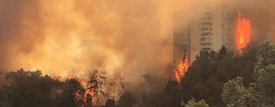 من الحرائق المندلعة 