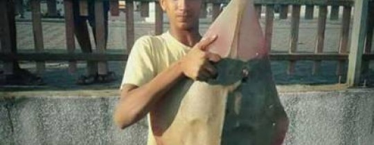 الشهيد الصياد إسماعيل أبو ريالة