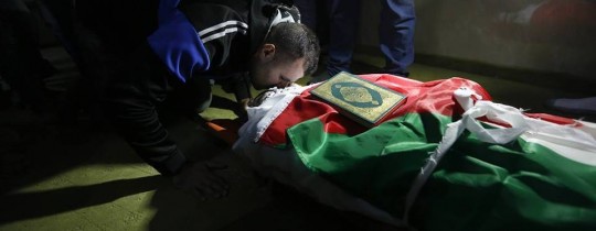 15966171_1391509957592568_8960501267963697207_n