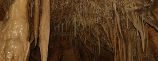 من داخل الكهف