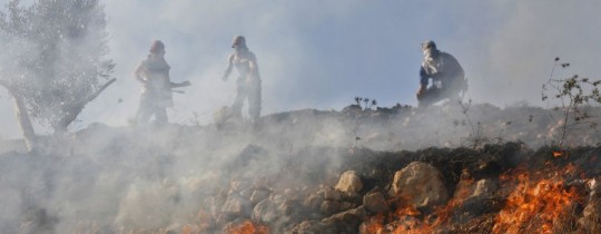 مستوطنون يحرقون أراضي المواطنين بالضفة المحتلة