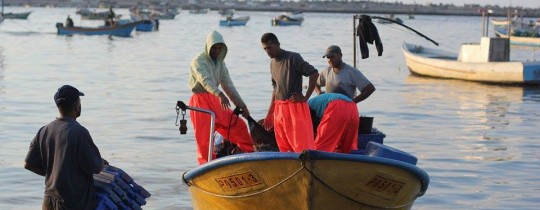 تصوير خالد أبو الجديان: صيادون في ميناء غزة