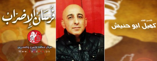 كميل أبو حنيش