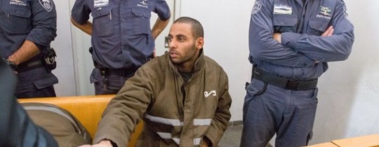 محمد شناوي 