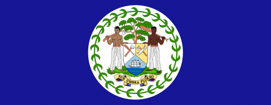 علم دولة بليز