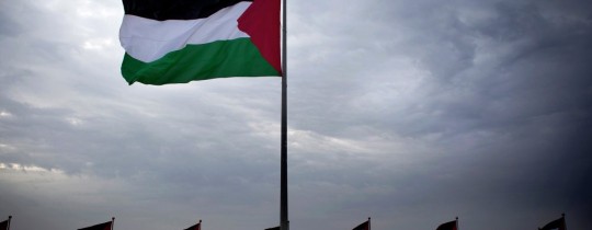 تعبيرية - علم فلسطين