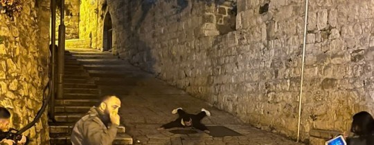 صورة من مكان الاعتقال