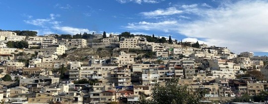 حي بطن الهوى في سلوان