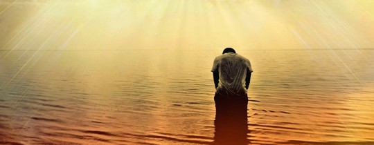 العرب والتنوير.jpg