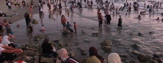 شواطئ يافا.jpg