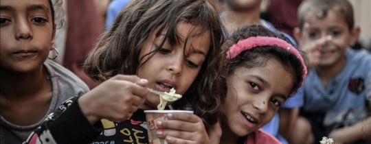 "منظمة اللاجئين الدولية تحذر: مسار المجاعة يدمر غزة، وكالات 