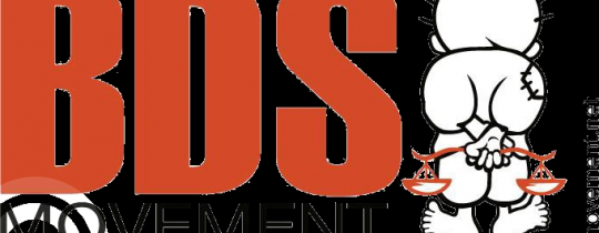 bds-logo