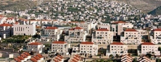 صورة توضيحية 