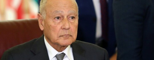 أحمد أبو الغيط