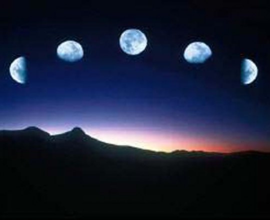 الشهور عند العرب